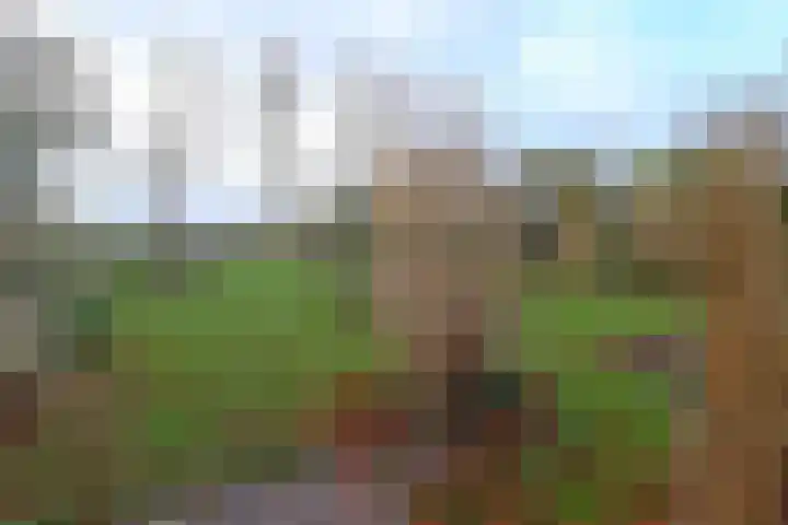 Onderduikerspad 14 A Espel thumbnail 21