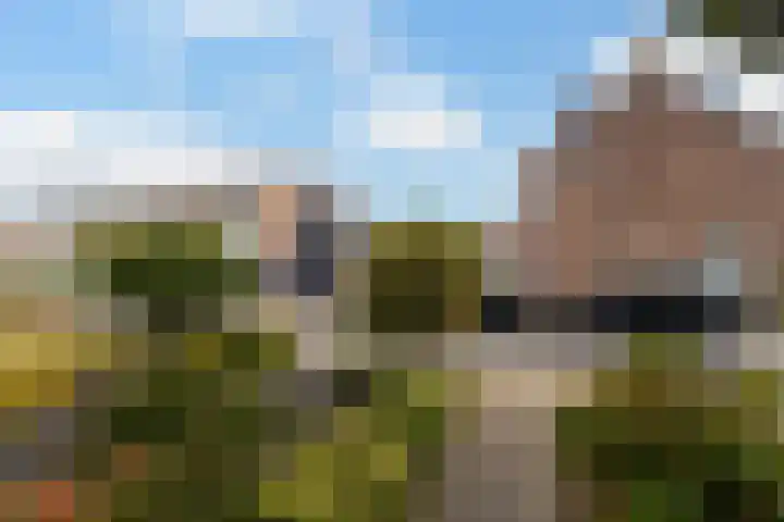 Onderduikerspad 14 A Espel thumbnail 24