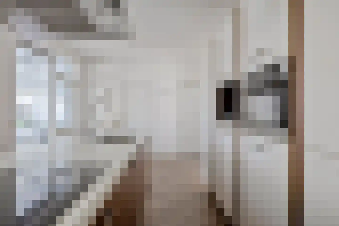 Onderduikerspad 14 C Espel thumbnail 13