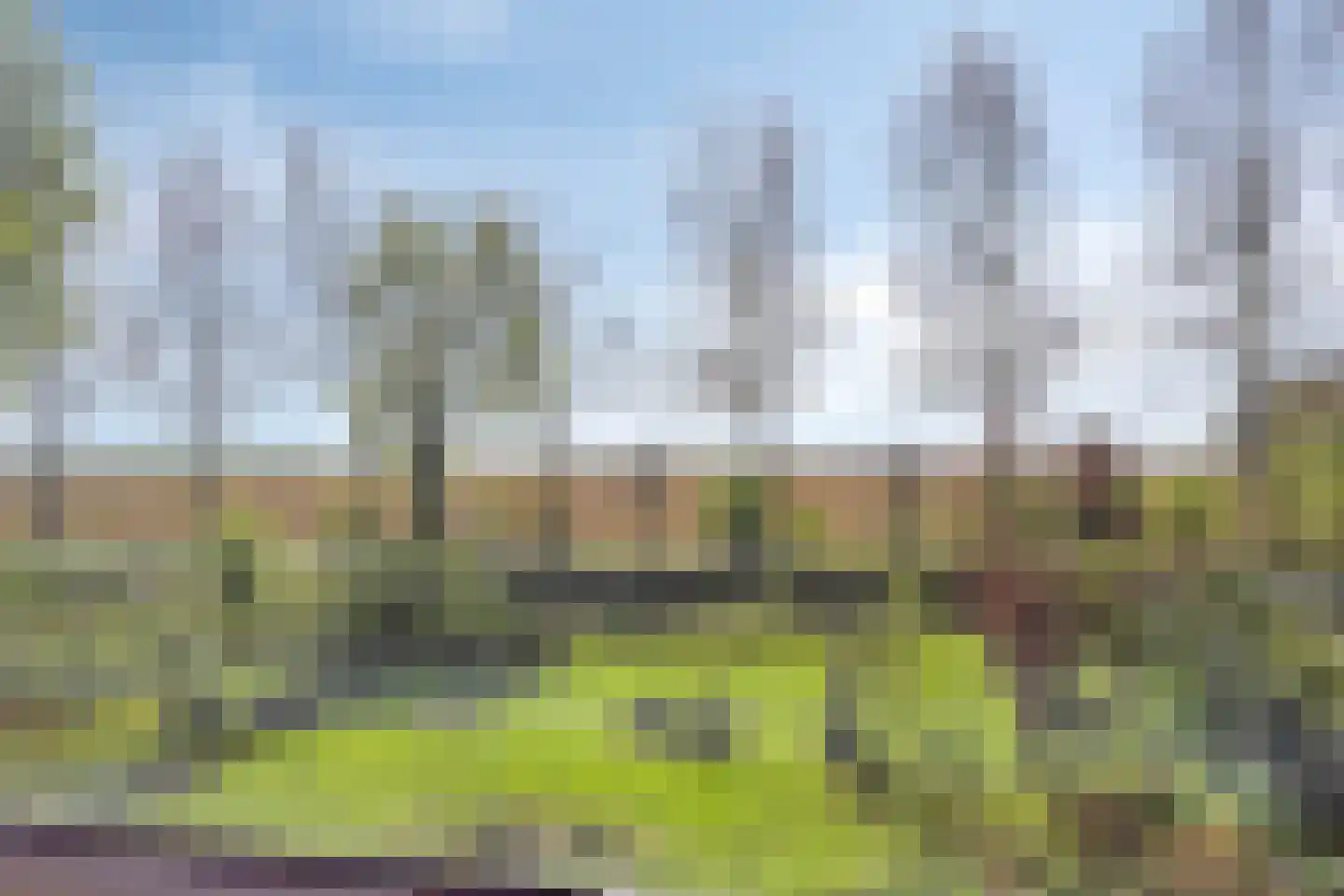 Onderduikerspad 14 C Espel thumbnail 30