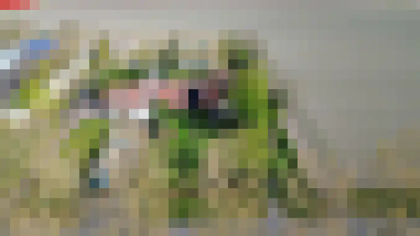 Onderduikerspad 14 C Espel thumbnail 41