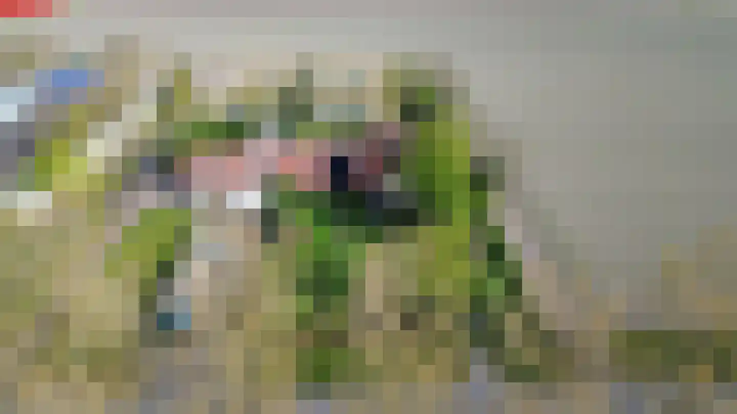 Onderduikerspad 14 C Espel thumbnail 42