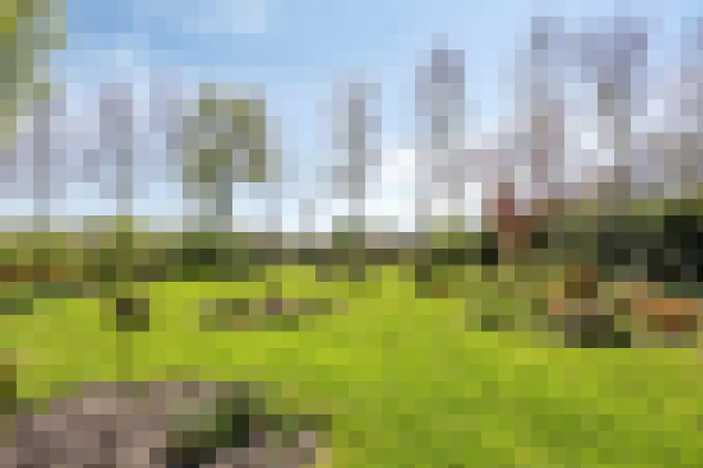 Onderduikerspad 14 C Espel thumbnail 7