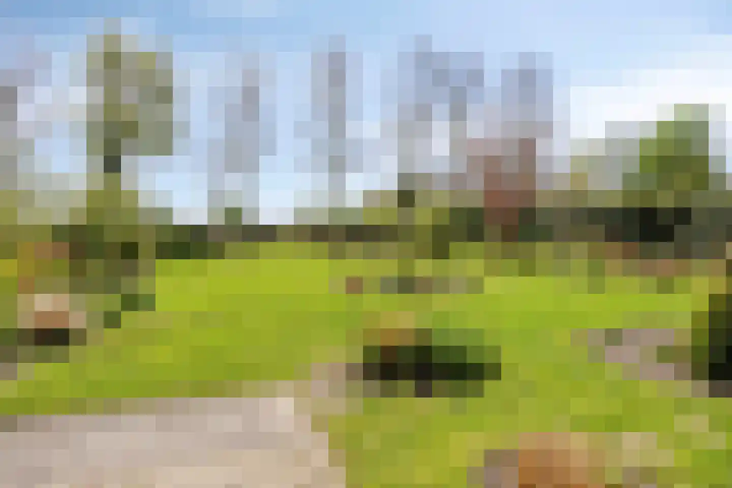Onderduikerspad 14 C Espel thumbnail 8
