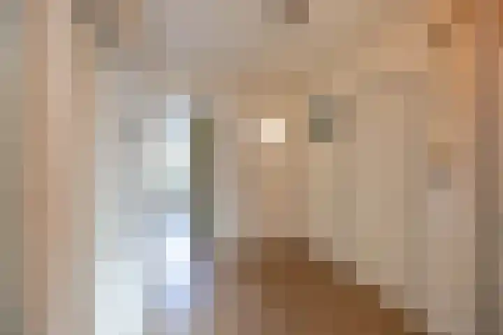 Onderduikersstraat 2 Groningen thumbnail 13