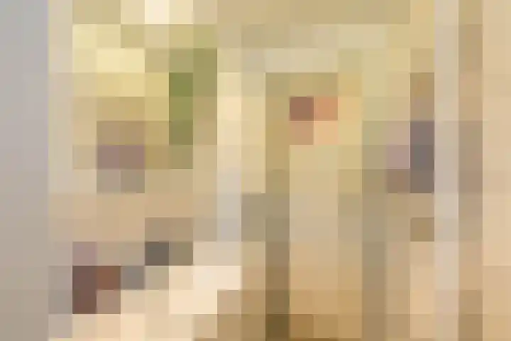 Onderduikersstraat 2 Groningen thumbnail 32