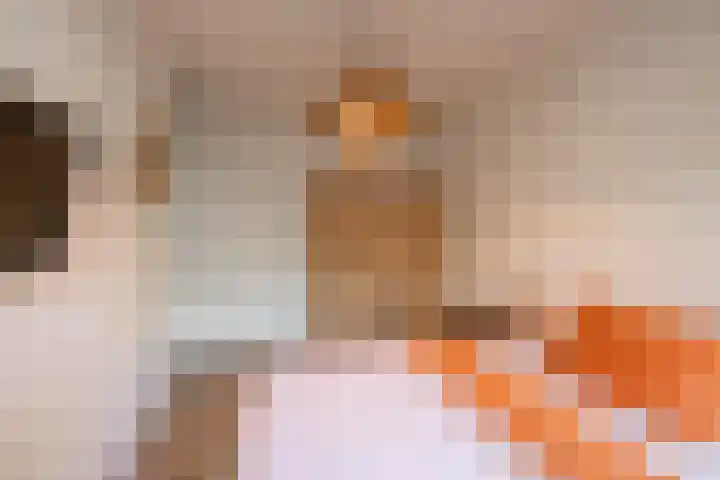 Onderduikersstraat 2 Groningen thumbnail 39