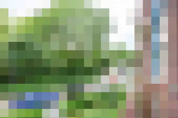 Onderduikersstraat 72 Groningen thumbnail 20