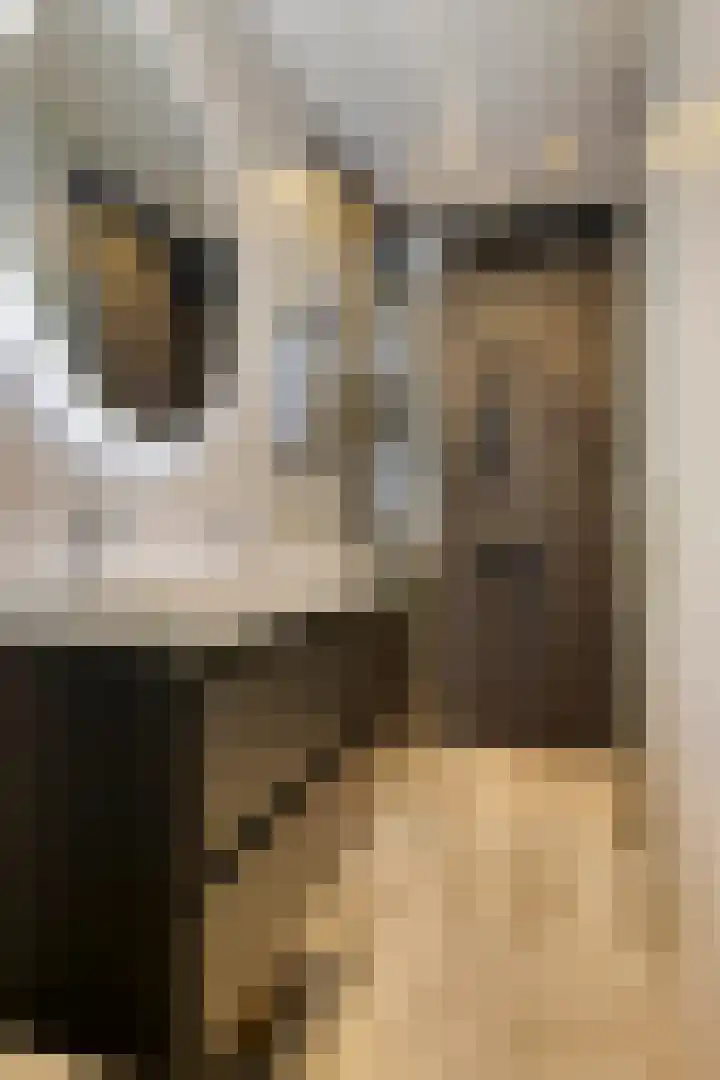 Onderduikersstraat 98 Groningen thumbnail 18