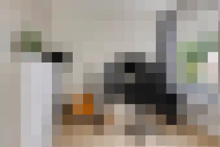 Onderduikersstraat 98 Groningen thumbnail 22