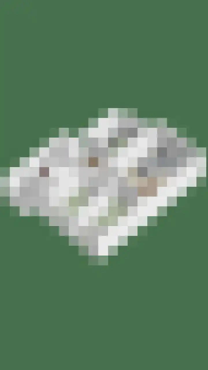Onderduikersstraat 98 Groningen thumbnail 33