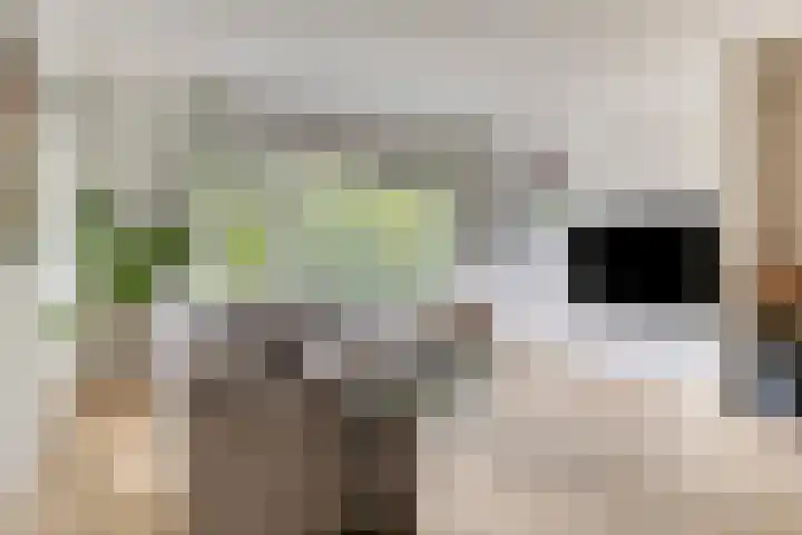 Onderduikersstraat 98 Groningen thumbnail 4