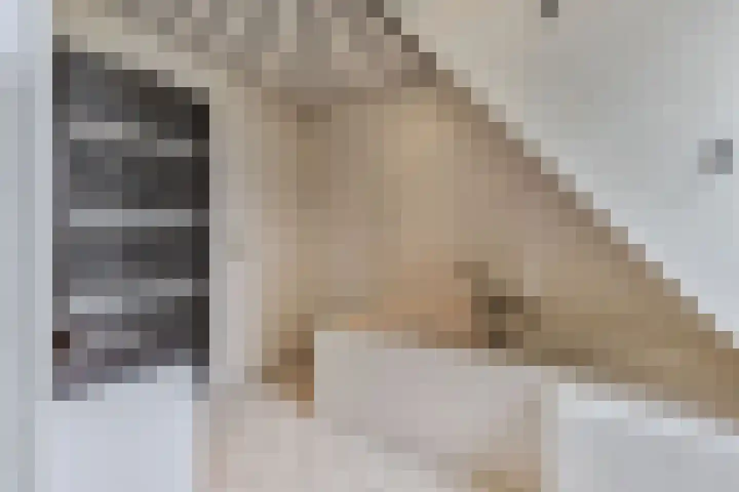Onderduikersweg 18 A Emmeloord thumbnail 32