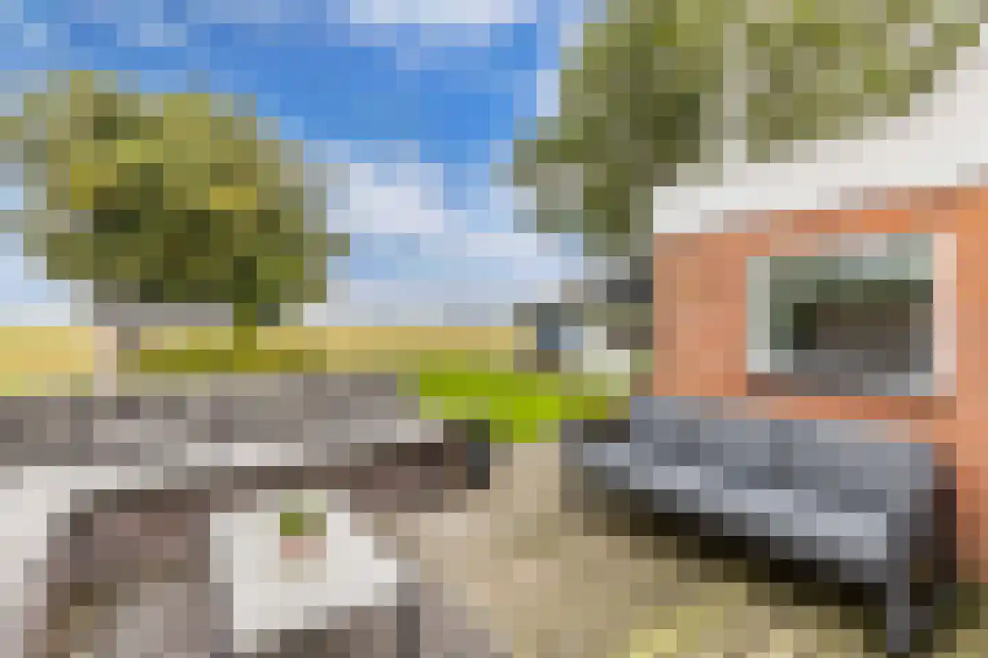 Onderduikersweg 18 A Emmeloord thumbnail 40