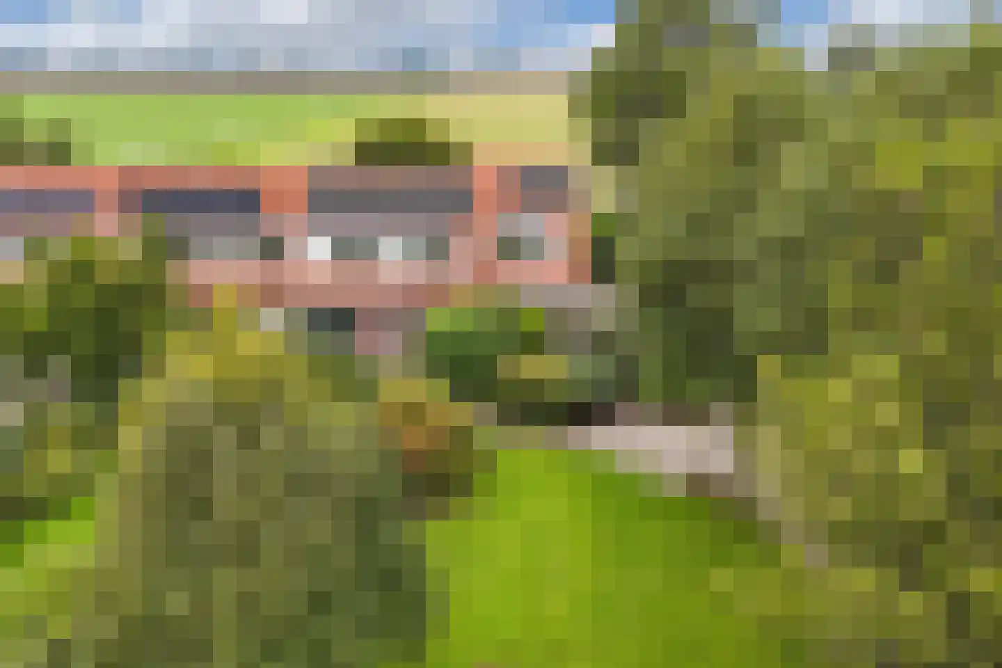 Onderduikersweg 18 A Emmeloord thumbnail 43