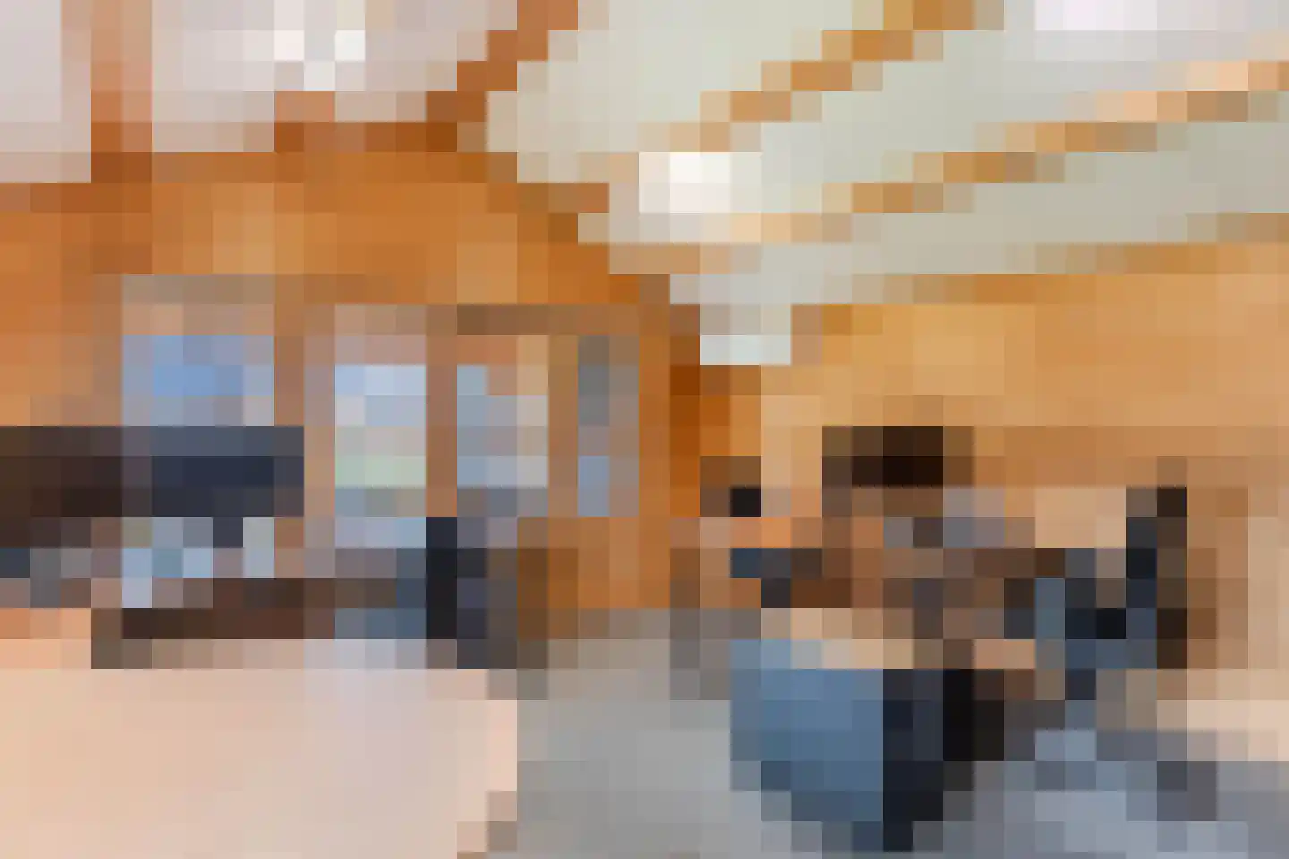 Onderduikersweg 18 A Emmeloord thumbnail 6