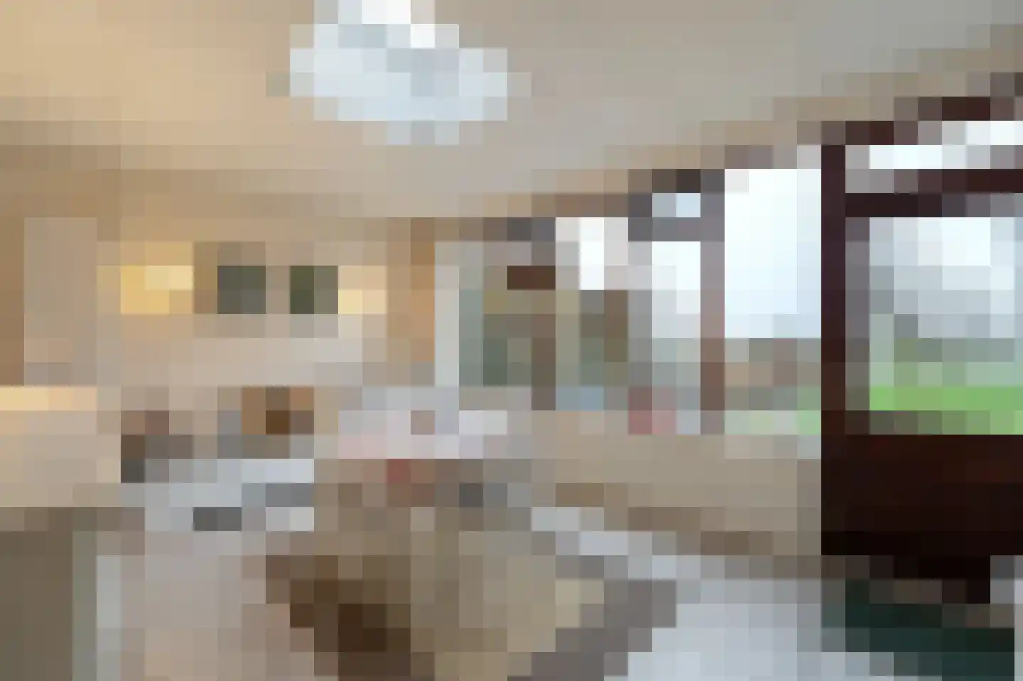 Onderduikersweg 18 B Emmeloord thumbnail 20