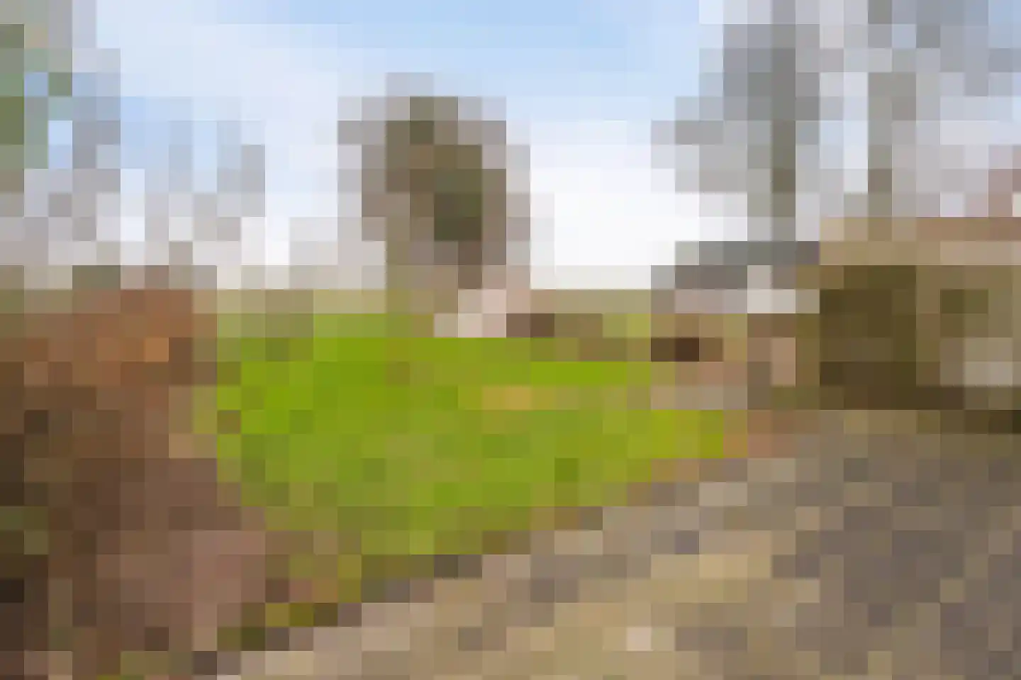 Onderduikersweg 18 B Emmeloord thumbnail 30