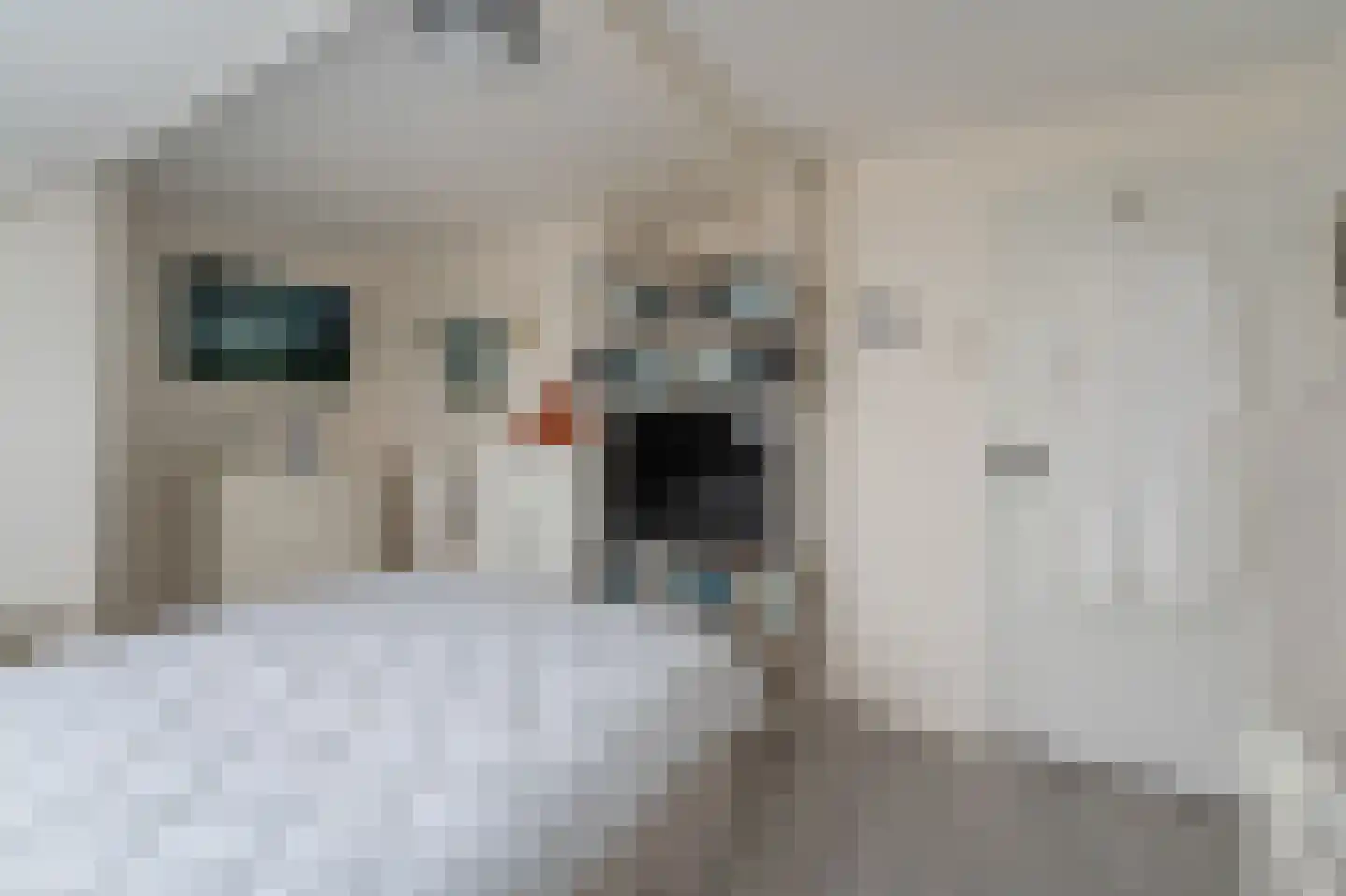 Onderduikersweg 18 B Emmeloord thumbnail 40