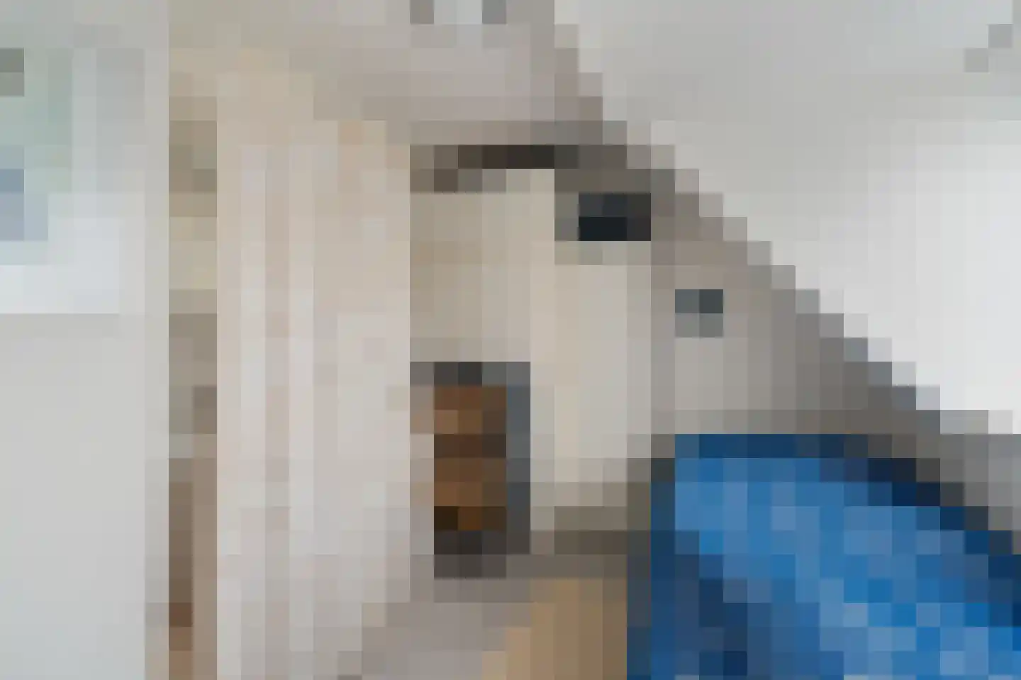 Onderduikersweg 18 B Emmeloord thumbnail 43