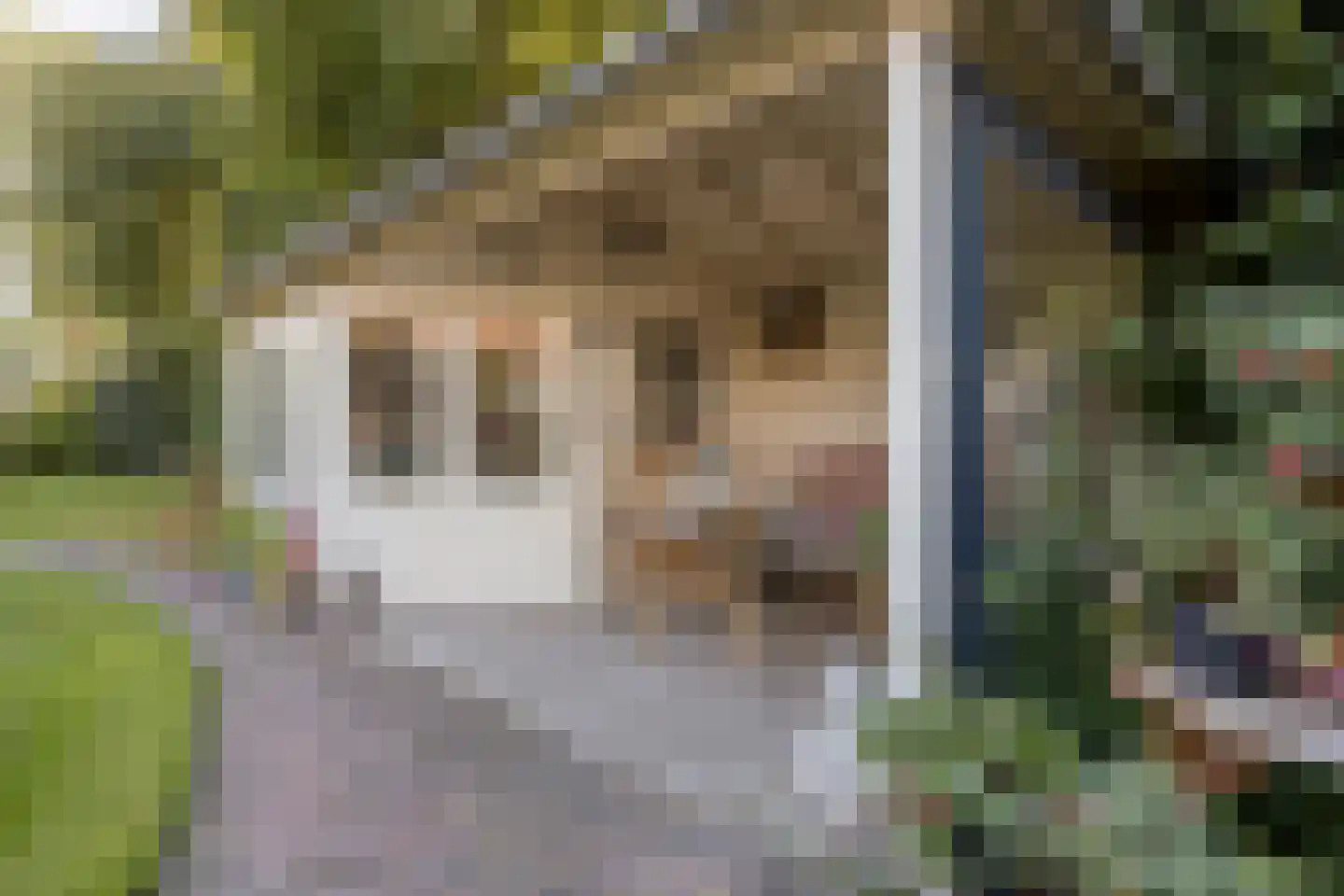 Onderduikersweg 18 D Emmeloord thumbnail 23
