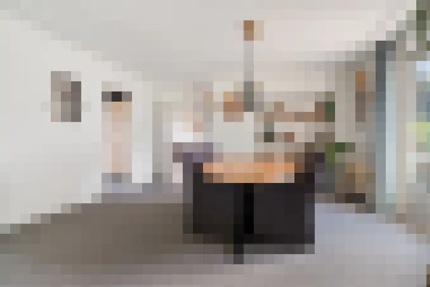 Onderduikersweg 21 Emmeloord thumbnail 16