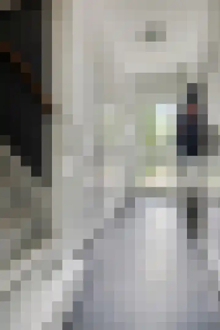 Onderduikersweg 46 B Espel thumbnail 10