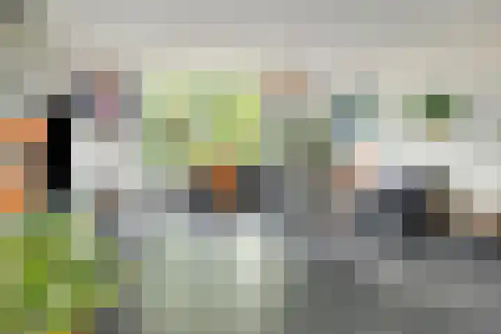 Onderduikersweg 46 B Espel thumbnail 11