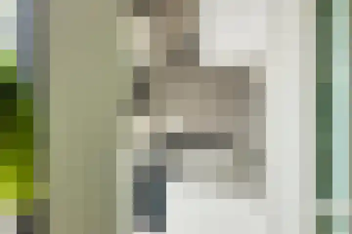 Onderduikersweg 46 B Espel thumbnail 17