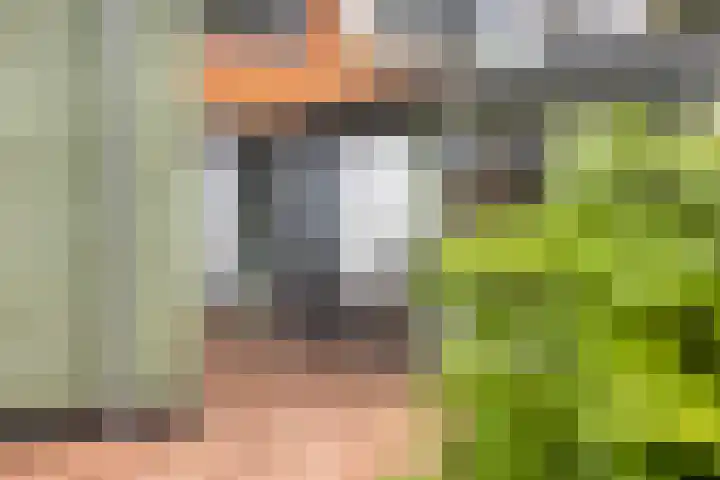 Onderduikersweg 46 B Espel thumbnail 18