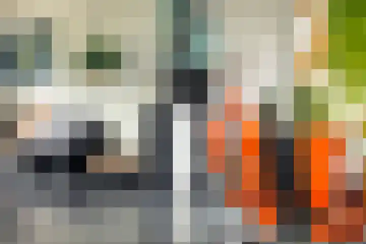 Onderduikersweg 46 B Espel thumbnail 19