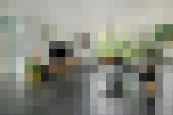 Onderduikersweg 46 B Espel foto 2
