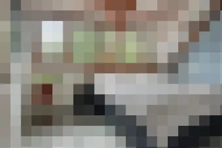 Onderduikersweg 46 B Espel thumbnail 21