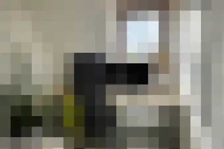 Onderduikersweg 46 B Espel thumbnail 29