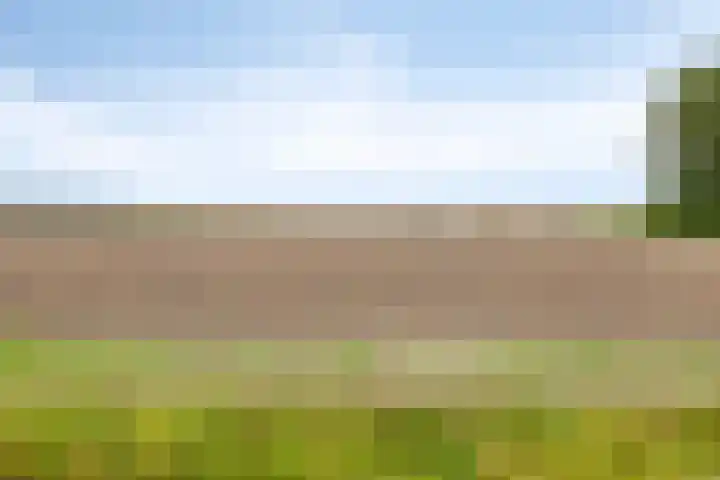 Onderduikersweg 46 B Espel thumbnail 33