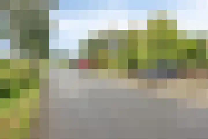 Onderduikersweg 46 B Espel thumbnail 37