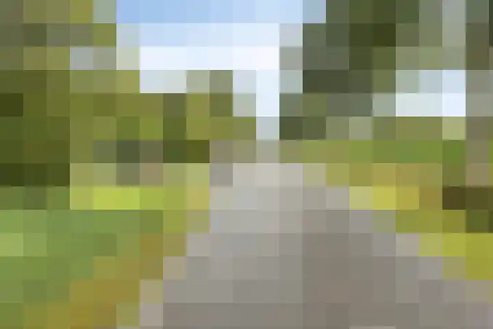 Onderduikersweg 46 B Espel thumbnail 38