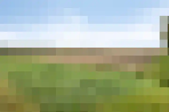 Onderduikersweg 46 B Espel thumbnail 39