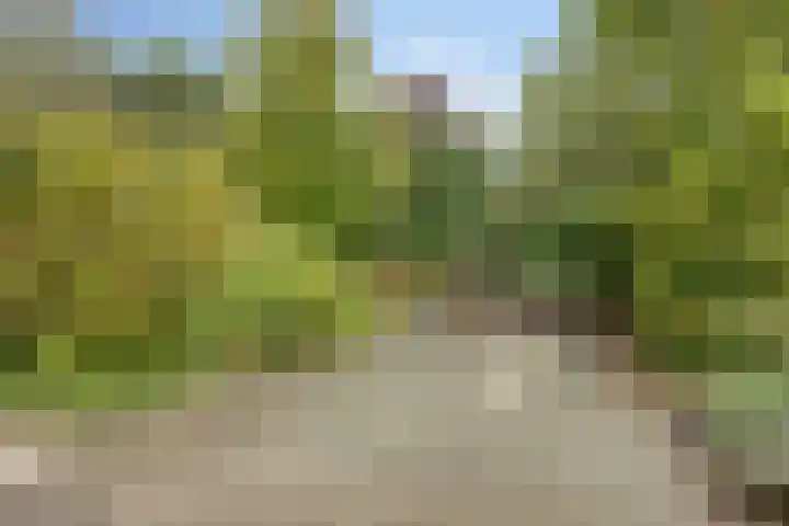 Onderduikersweg 46 B Espel thumbnail 4