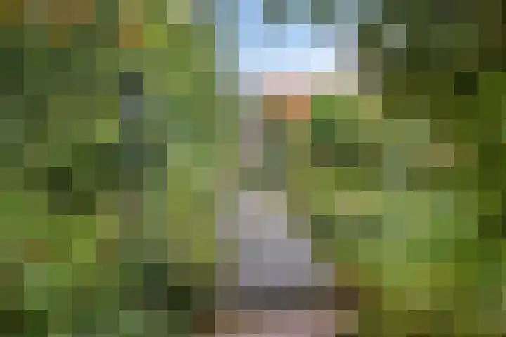Onderduikersweg 46 B Espel thumbnail 5