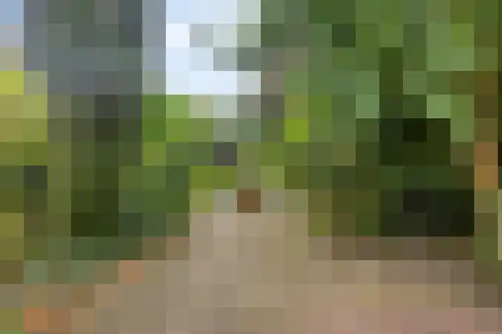 Onderduikersweg 46 B Espel thumbnail 6