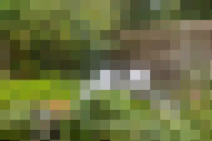 Onderduikersweg 46 B Espel thumbnail 7