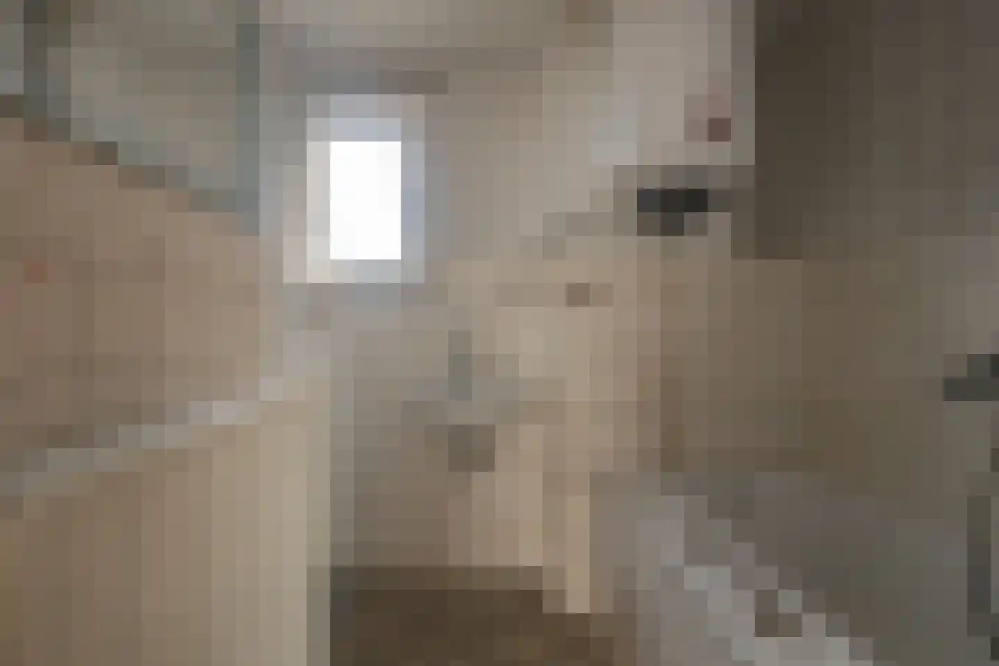 Ondergenhousweg 10 Stein thumbnail 14