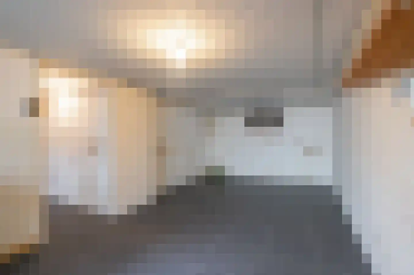 Ondergenhousweg 10 Stein thumbnail 17