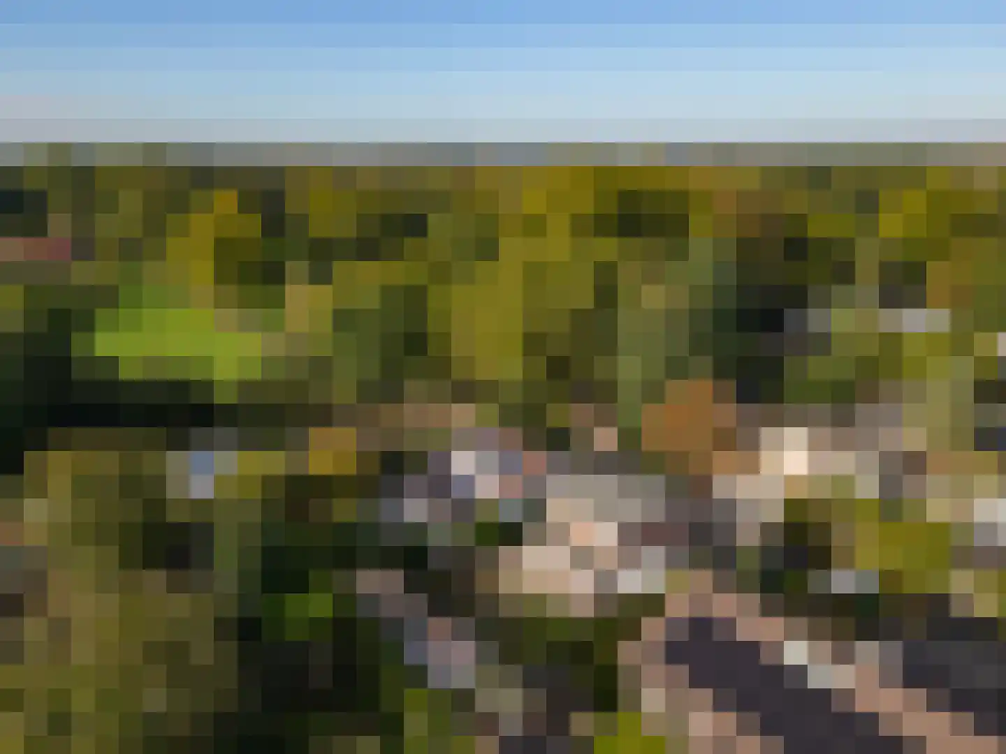 Ondergenhousweg 10 Stein thumbnail 22