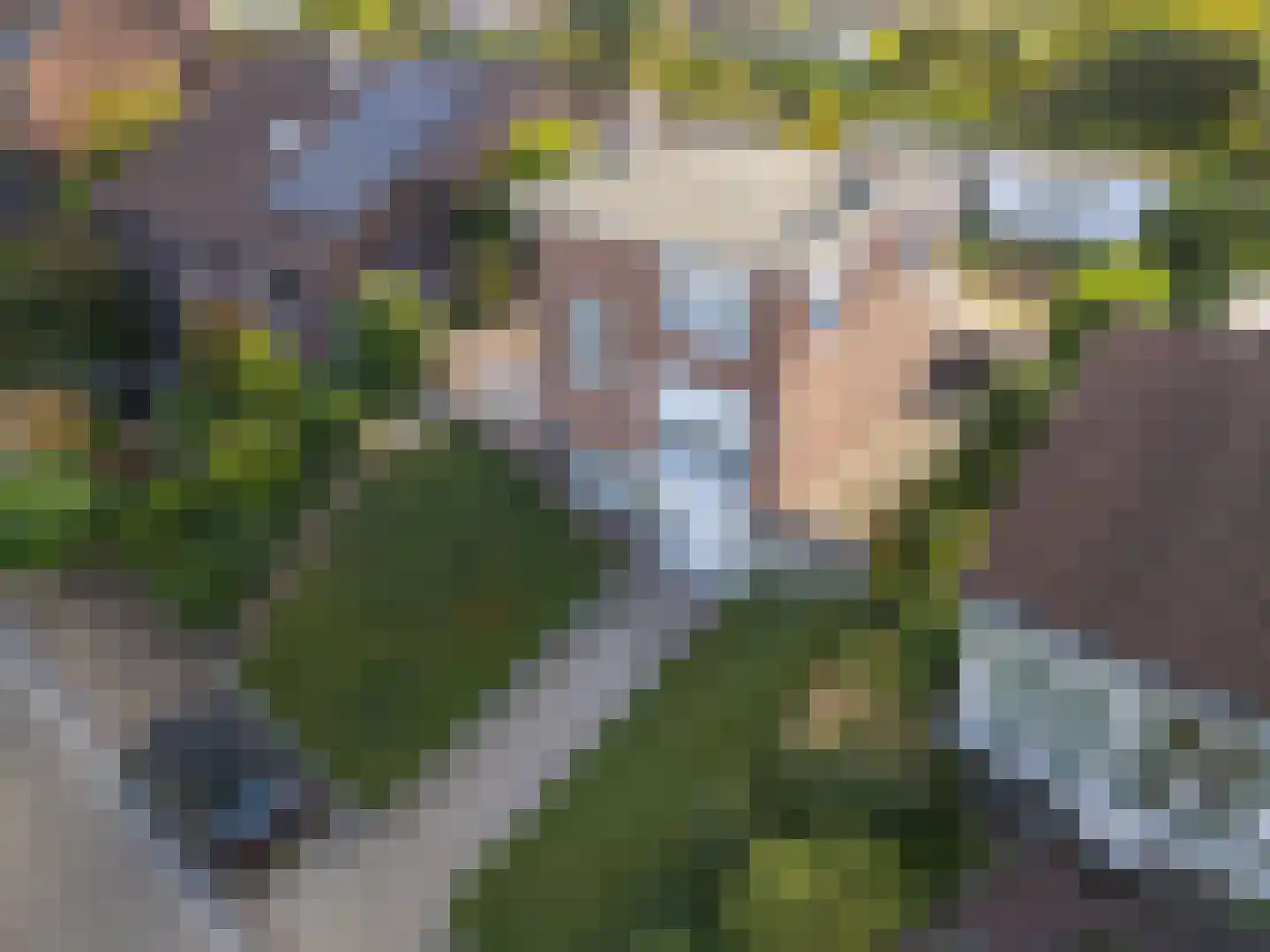 Ondergenhousweg 10 Stein thumbnail 4