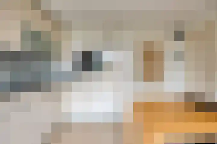 Onderkampstraat 10 Susteren thumbnail 14