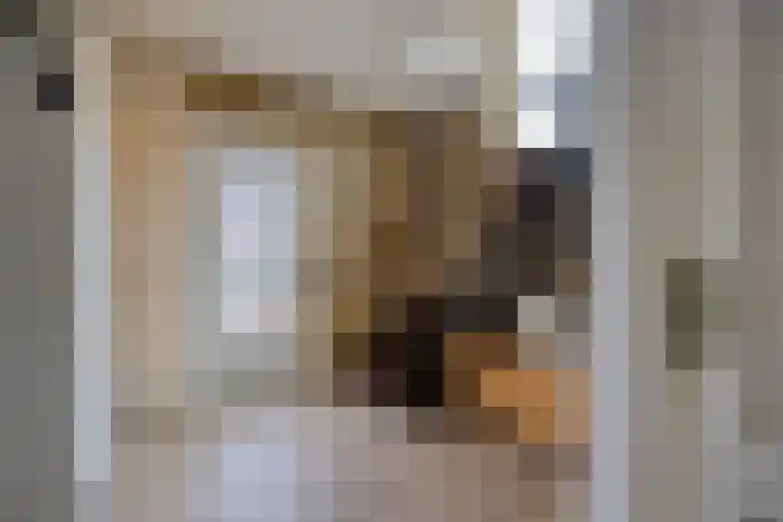 Onderkampstraat 10 Susteren thumbnail 16