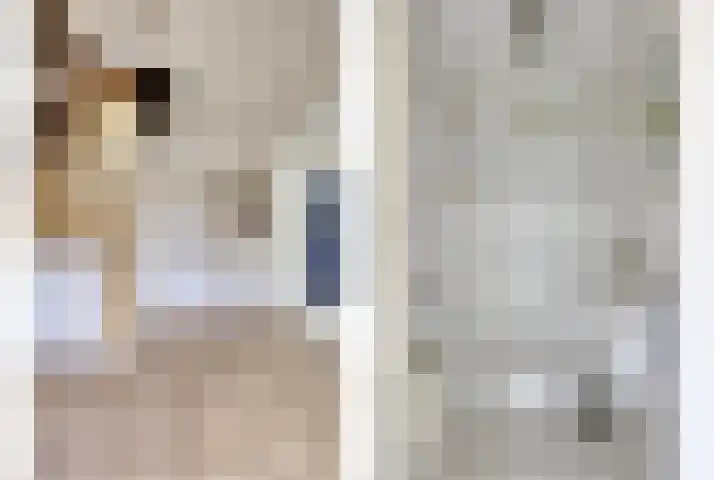 Onderkampstraat 10 Susteren thumbnail 17