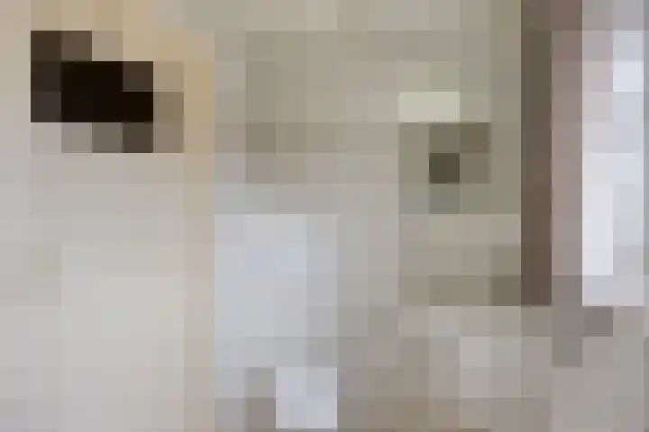 Onderkampstraat 10 Susteren thumbnail 25